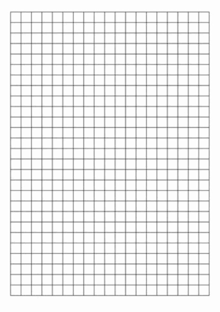 Math Graph Paper Template word